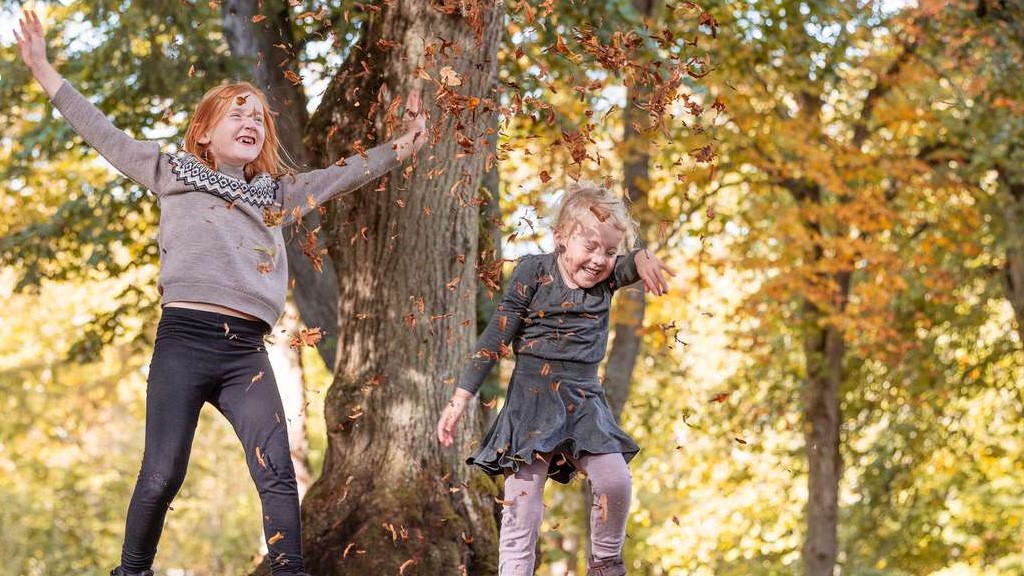 Children in the forrest