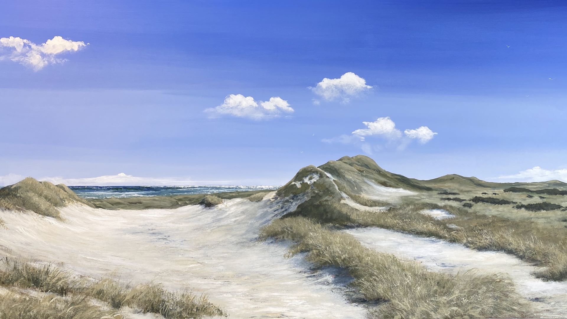 Fredens klit syd for Skagen