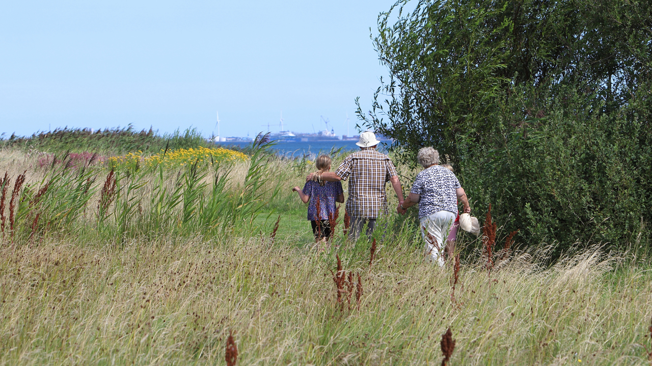 Family in nature, Sæby