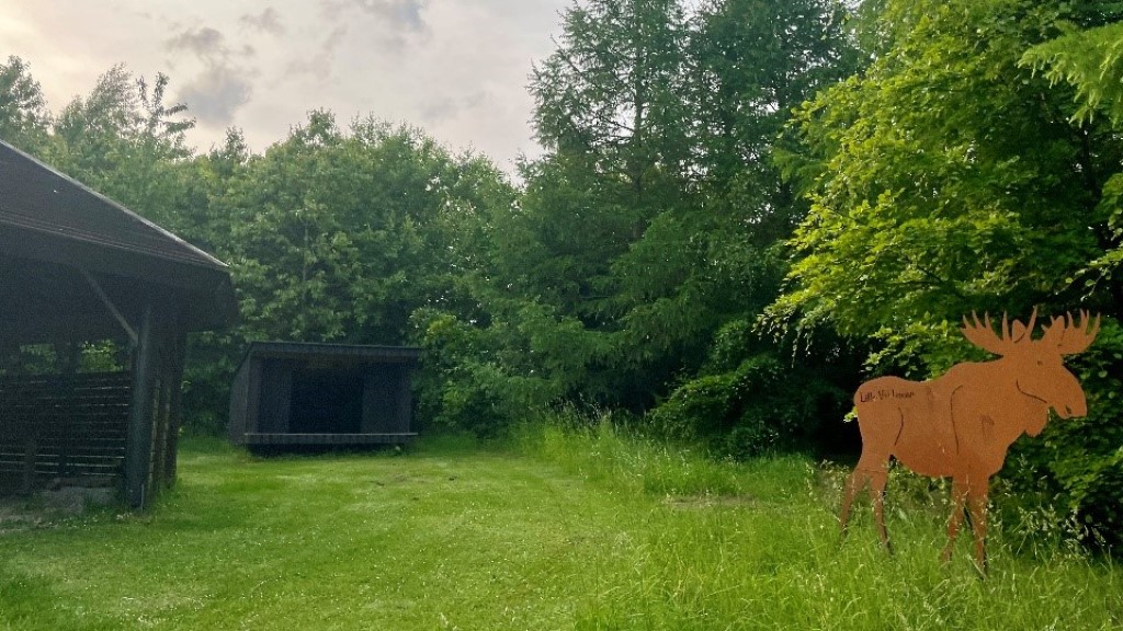 Shelterpladsen i Aktivitetsparken, Kongerslev