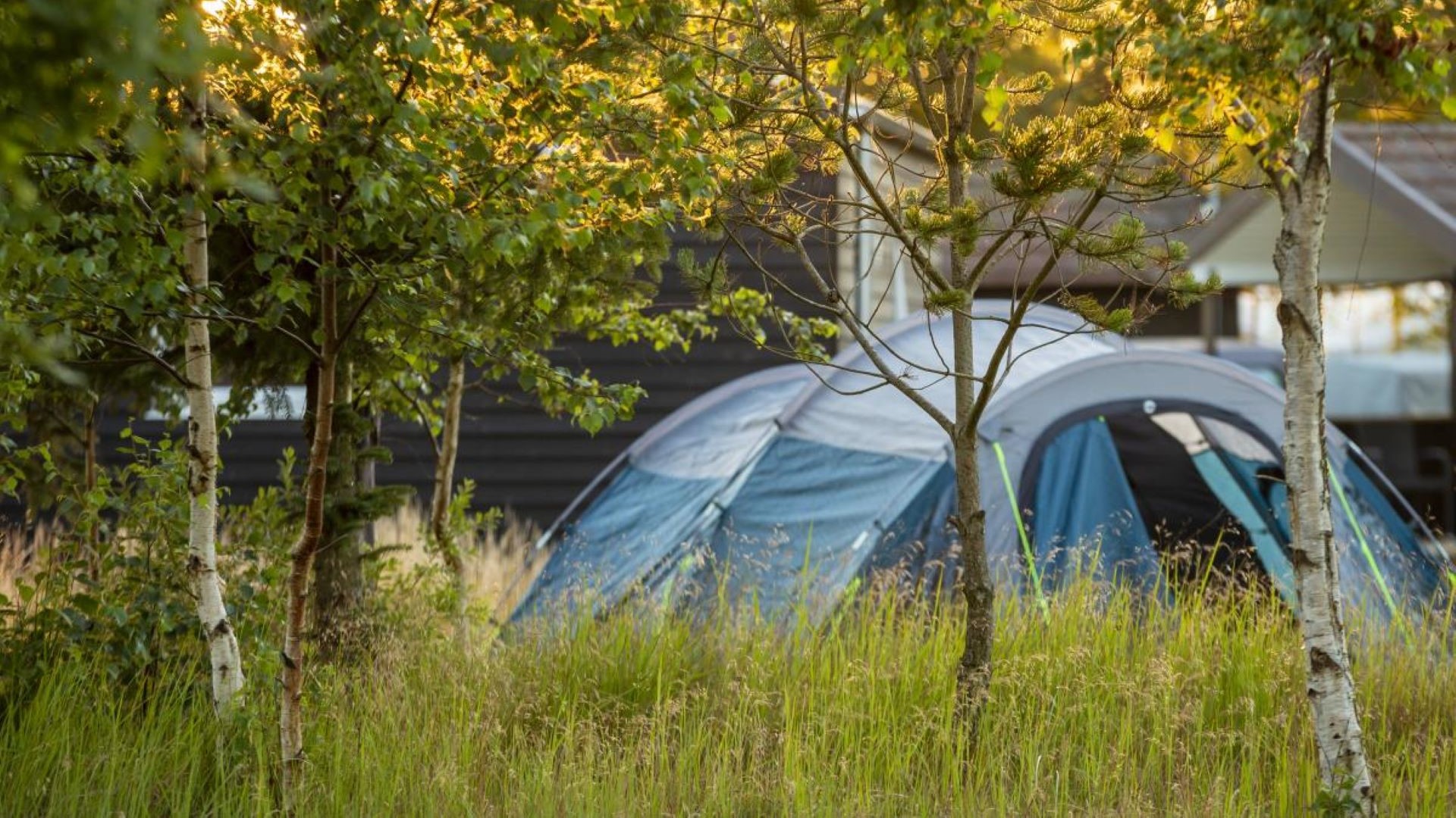Ålbæk camping