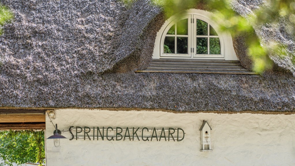 Springbakgaard
