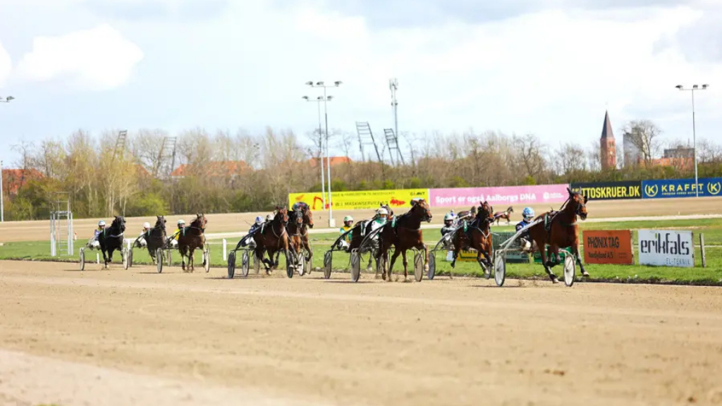 Travløb med flere heste og kuske i sulky på en grusbane.