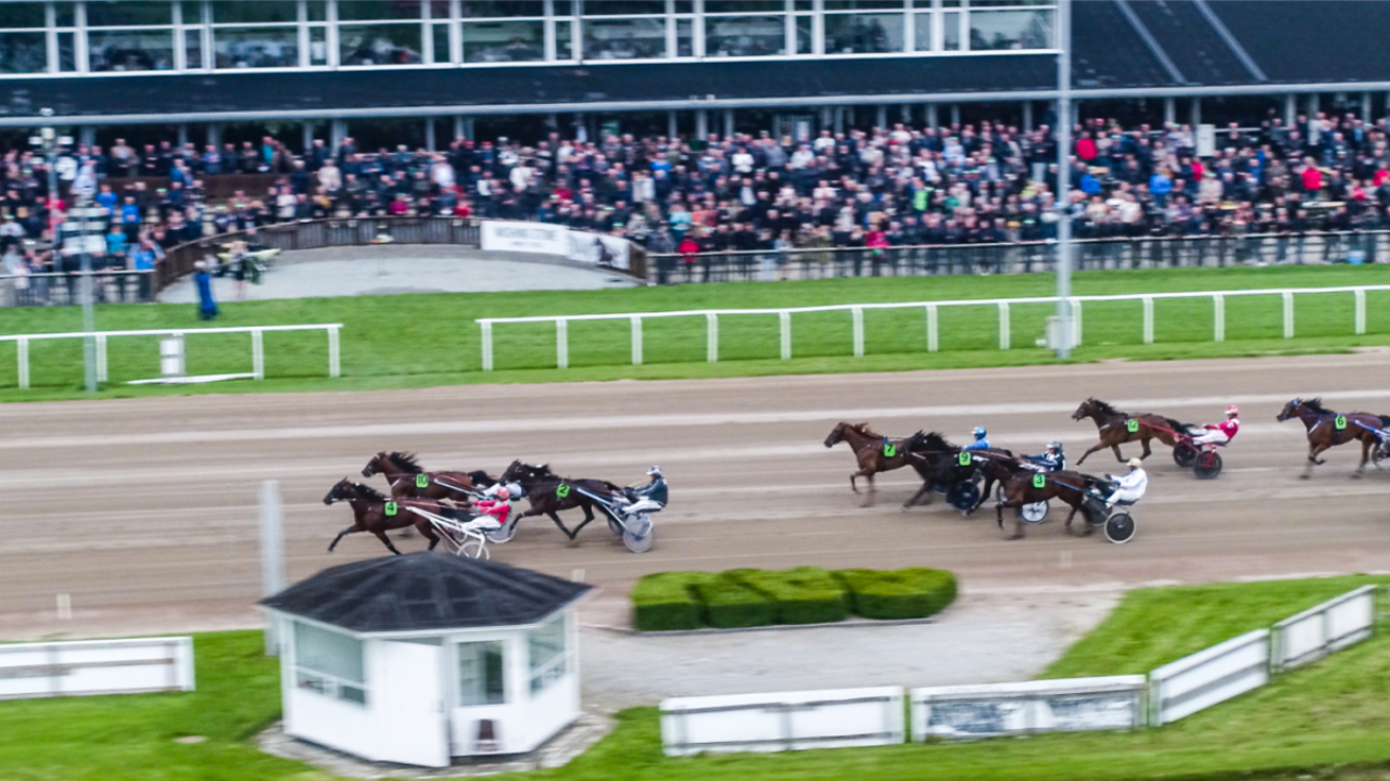 Travløb på Aalborg Væddeløbsbane med flere heste og kuske i sulky under løb.