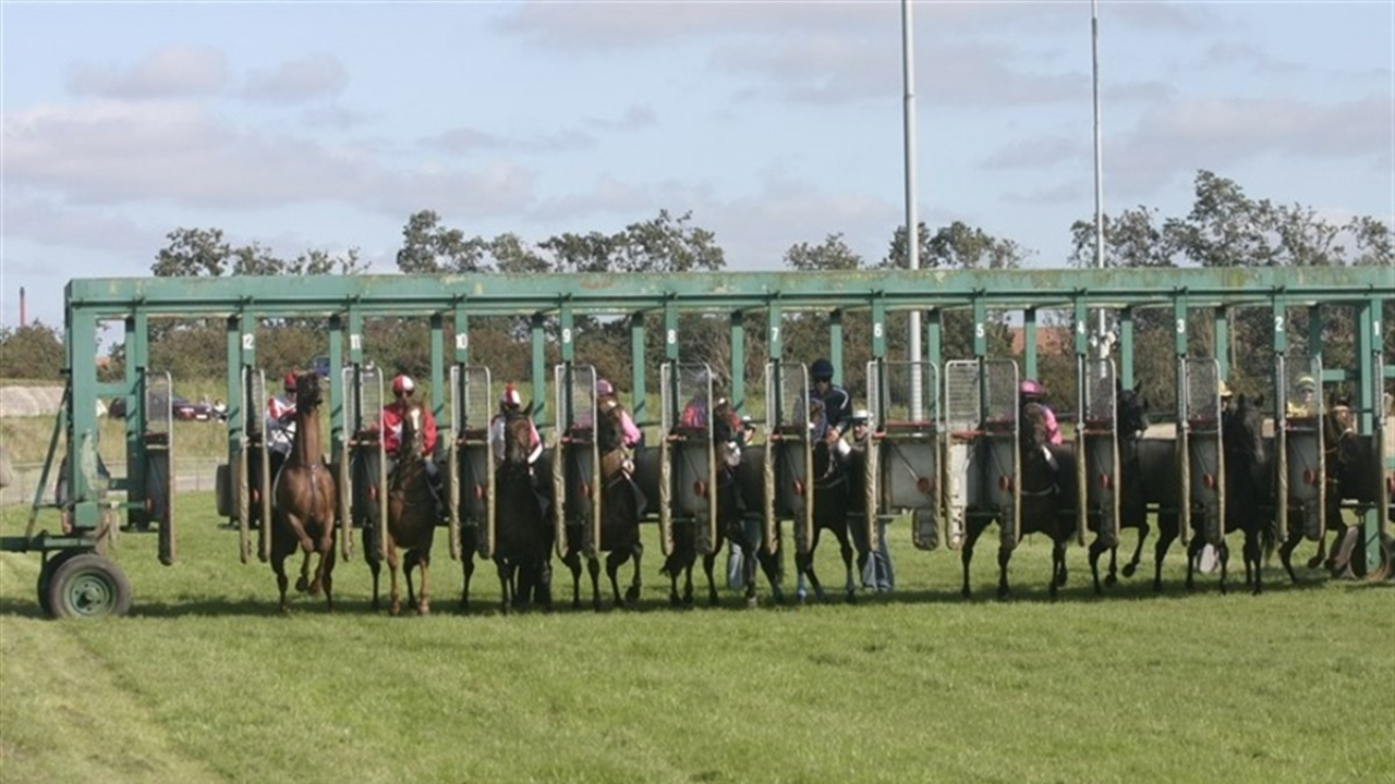 Starten går til galopløb