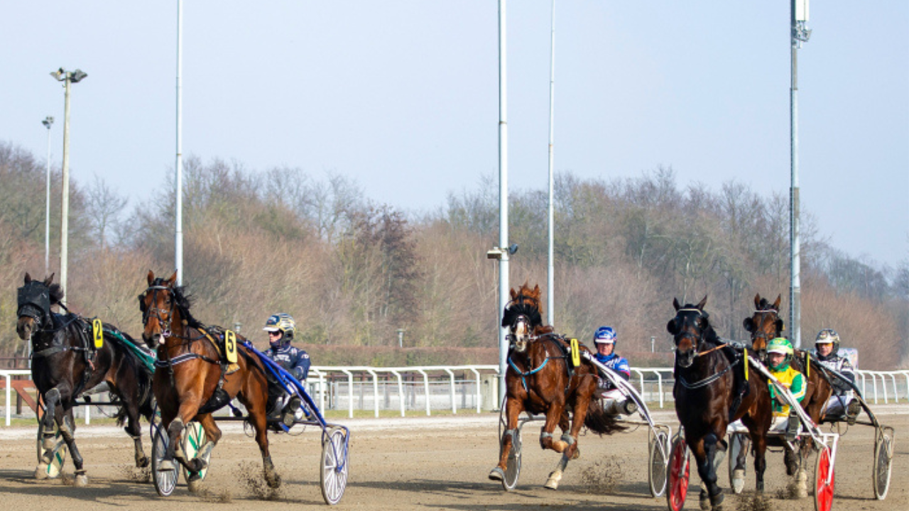 Travløb på Aalborg Væddeløbsbane med flere heste og kuske i sulky under løb.