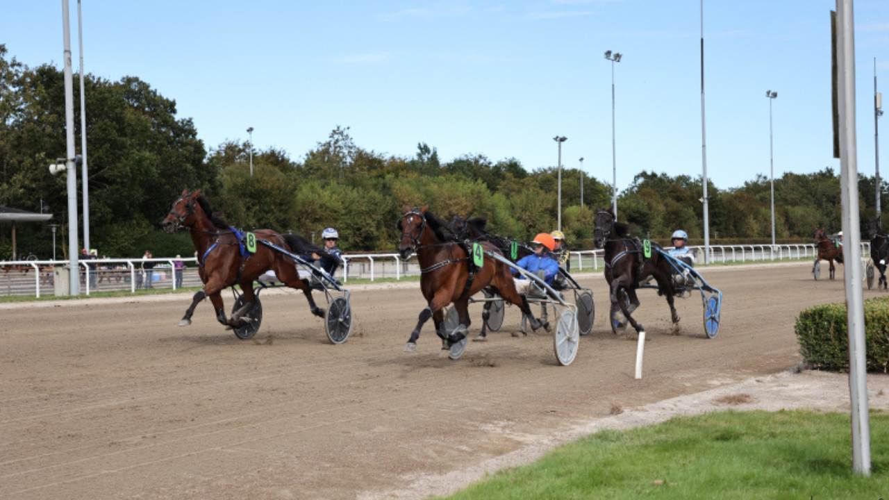 Heste krydser målstregen