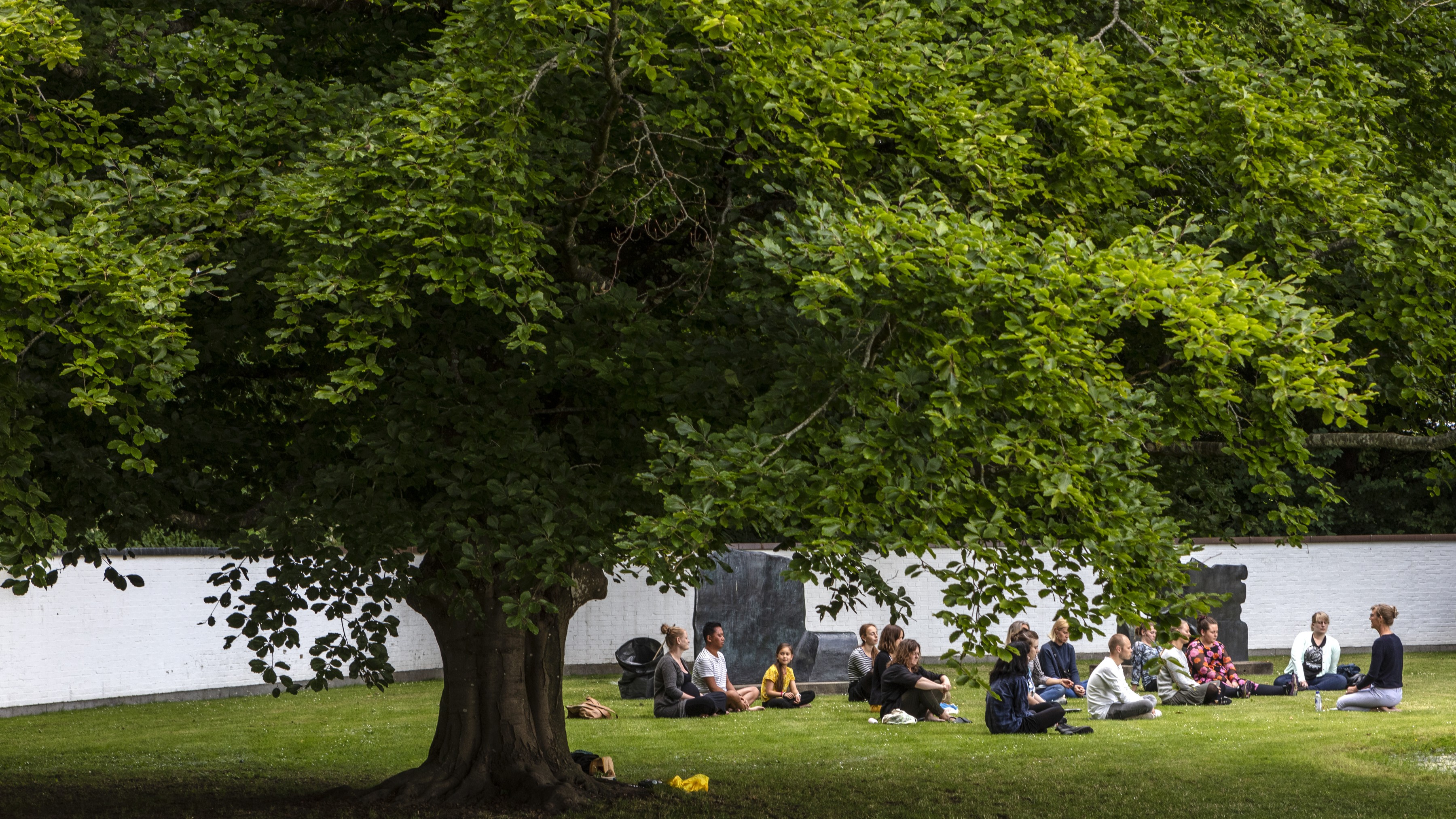 Picasso yoga i parken: For børn og voksne