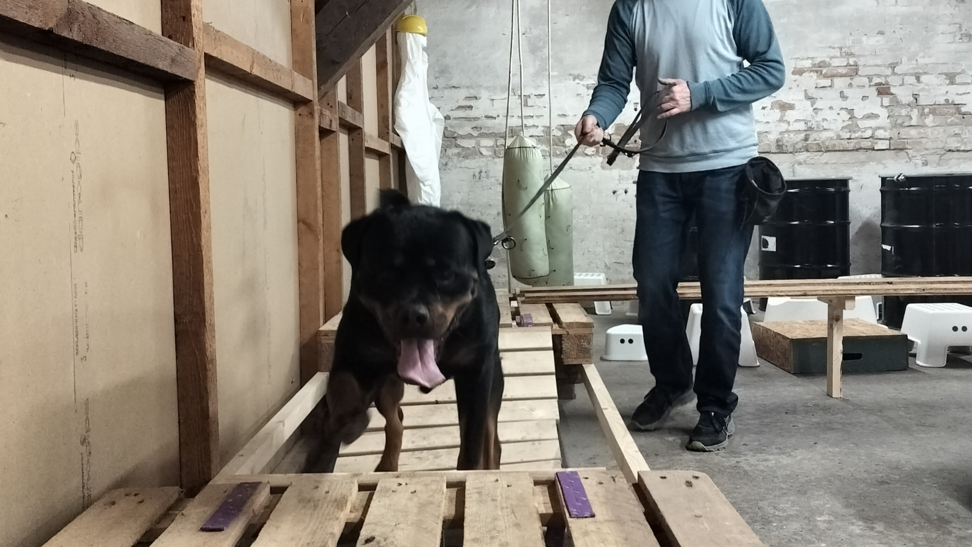 Hundeeventyr