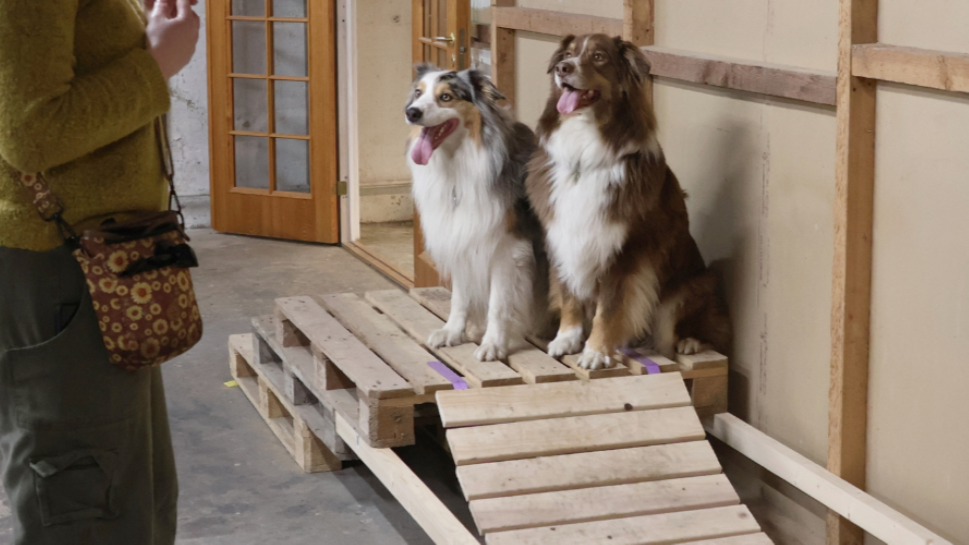 Hundeeventyr