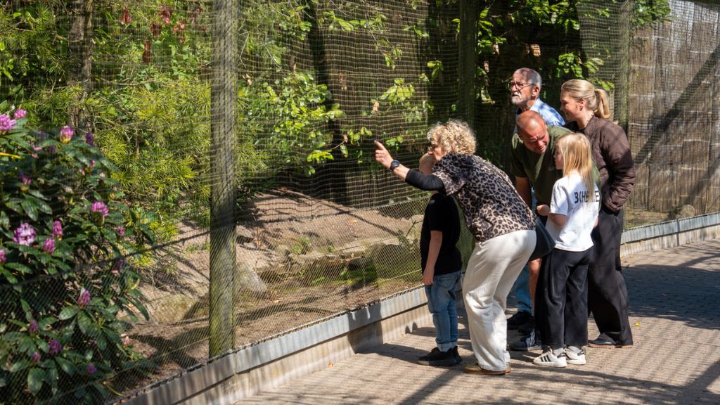 Grandparents’ Days at Aalborg Zoo