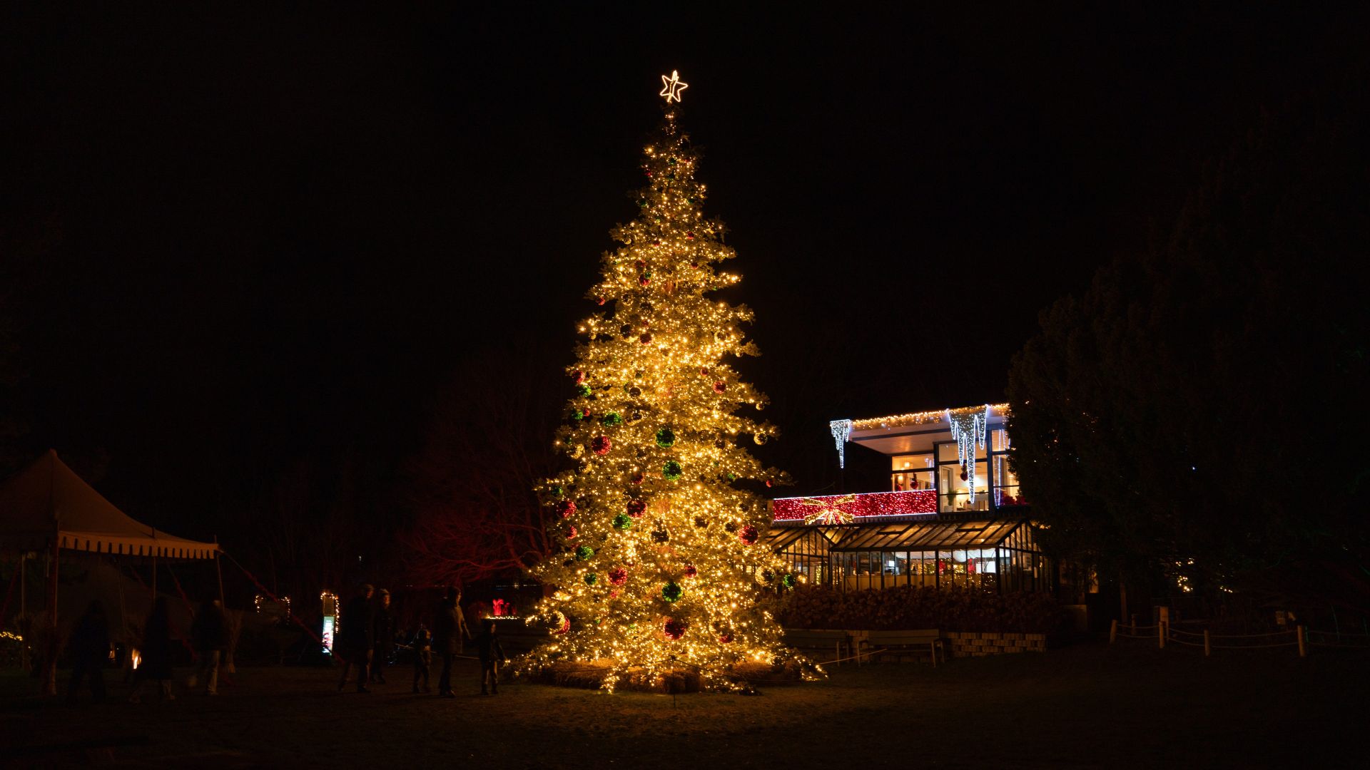 Aalborg Zoo