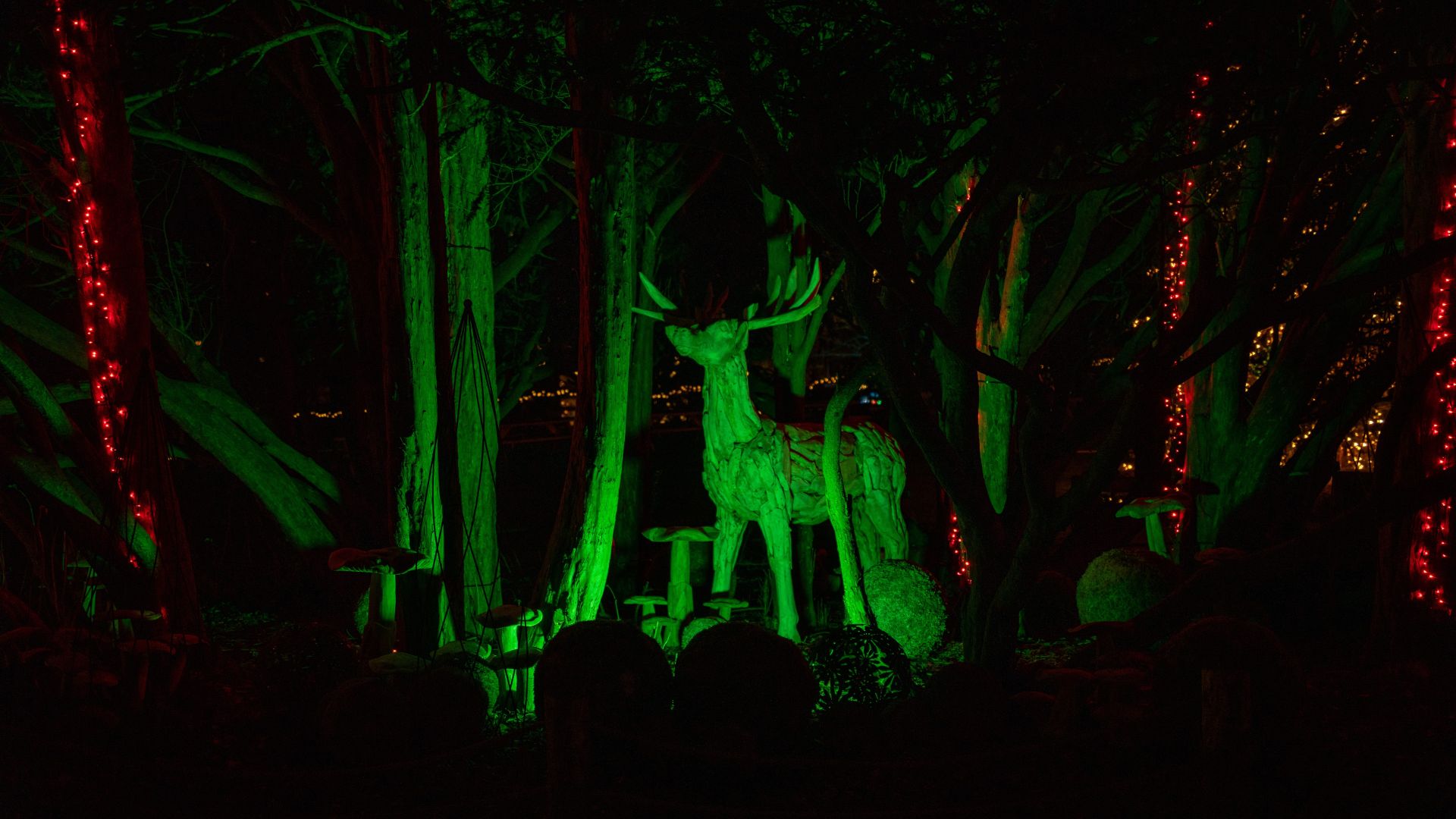 Aalborg Zoo