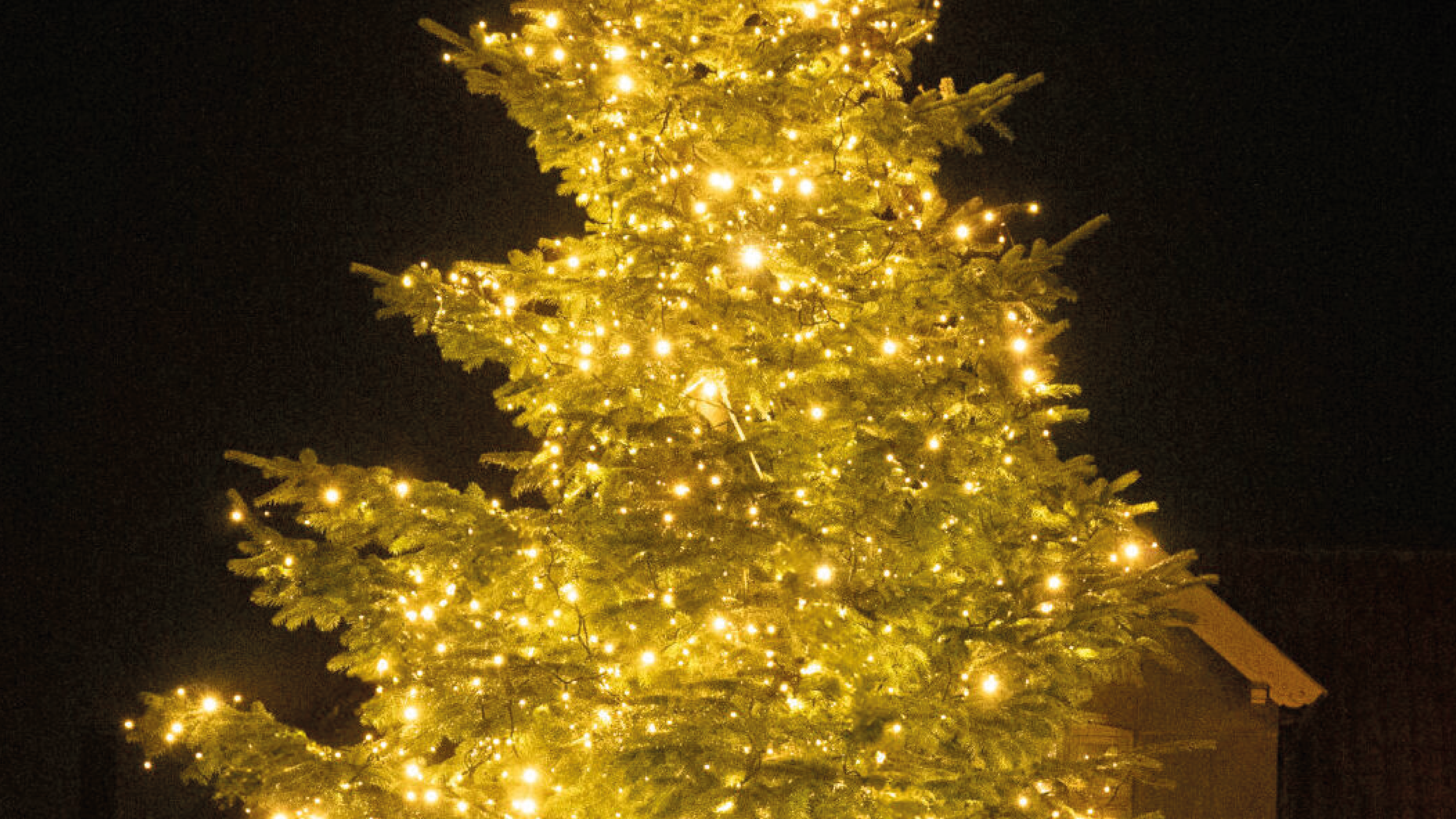 Juletræ