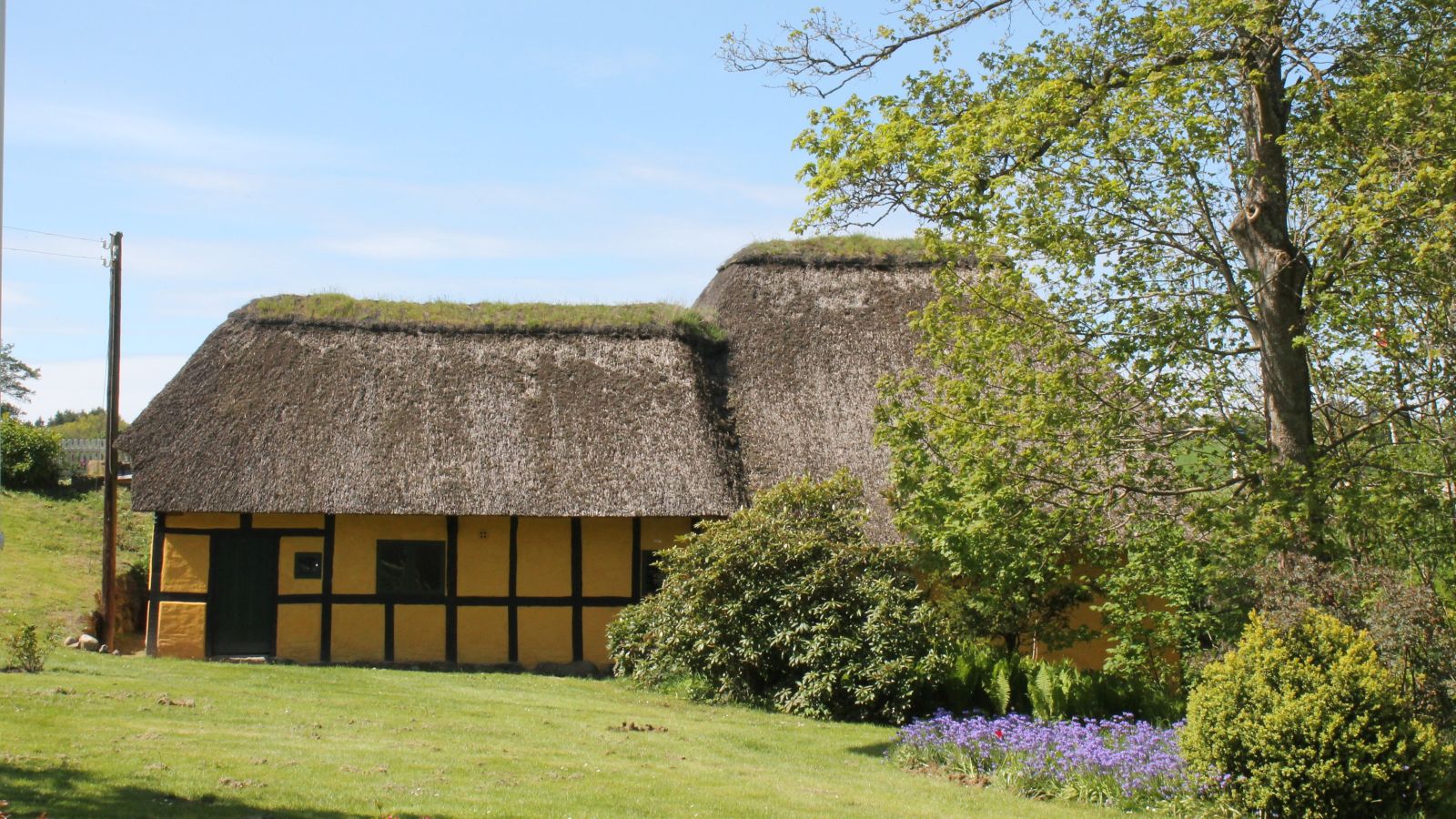 Dorf Møllegård