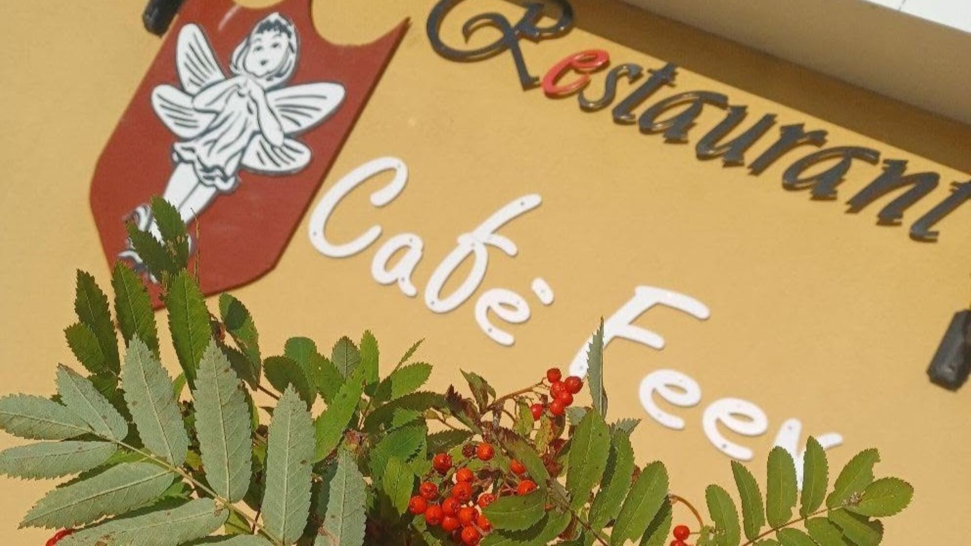 Café Feen