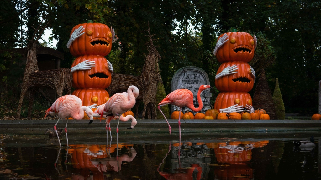 Aalborg_zoo_Halloween