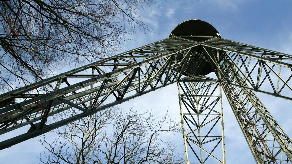 Aalborgtårnet i frøperspektiv