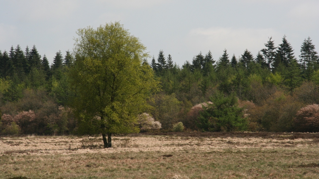 VisitSilkeborg