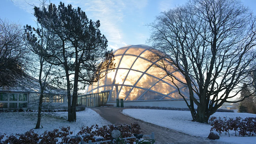 Et smukt vinterlandskab ved Væksthusene i Botanisk Have