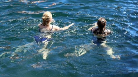 Åbning af Havnebadet i Aarhus 30. juni 2018 Foto Per Ryolf