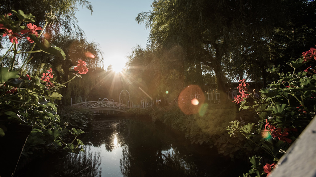 Blomsterfestival i Tivoli Friheden