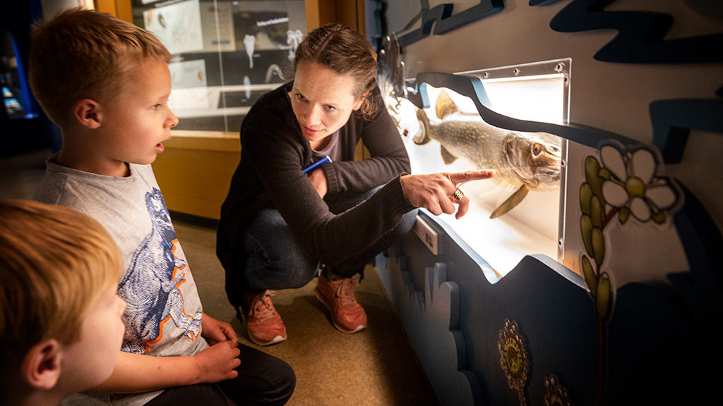 99 arter udstilling på Naturhistorisk Museum Aarhus