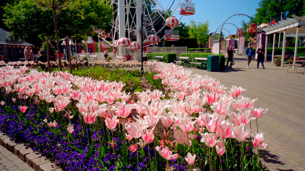 Tivoli Friheden blomsterfestival