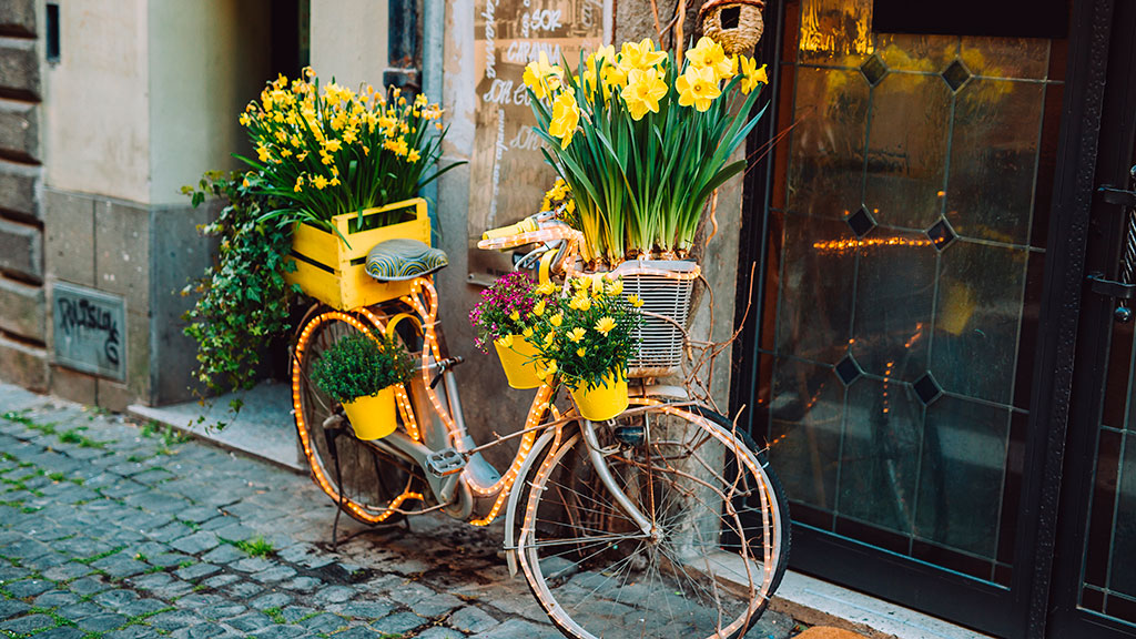 Blomsterfestival i Tivoli Friheden