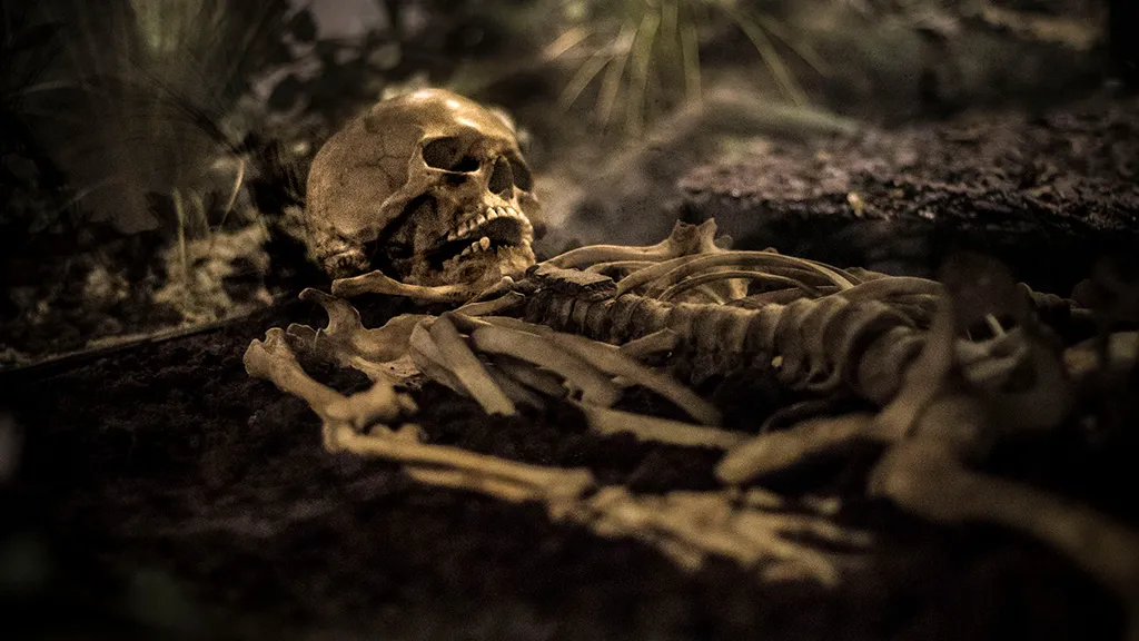 Museum Østjylland i Randers oldtiden skelet
