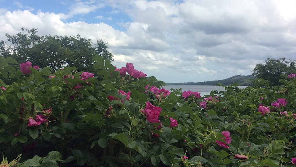 Museum Jorn Silkeborg