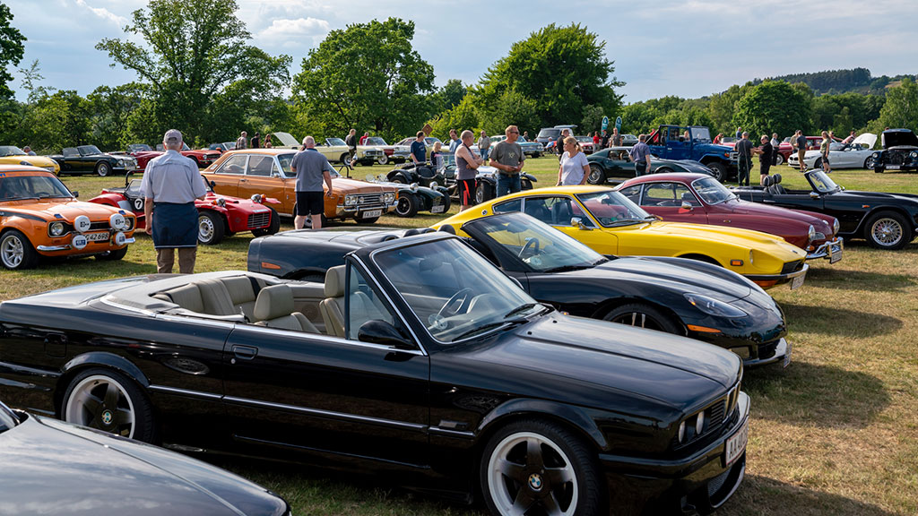 Veterantræf Ry cars