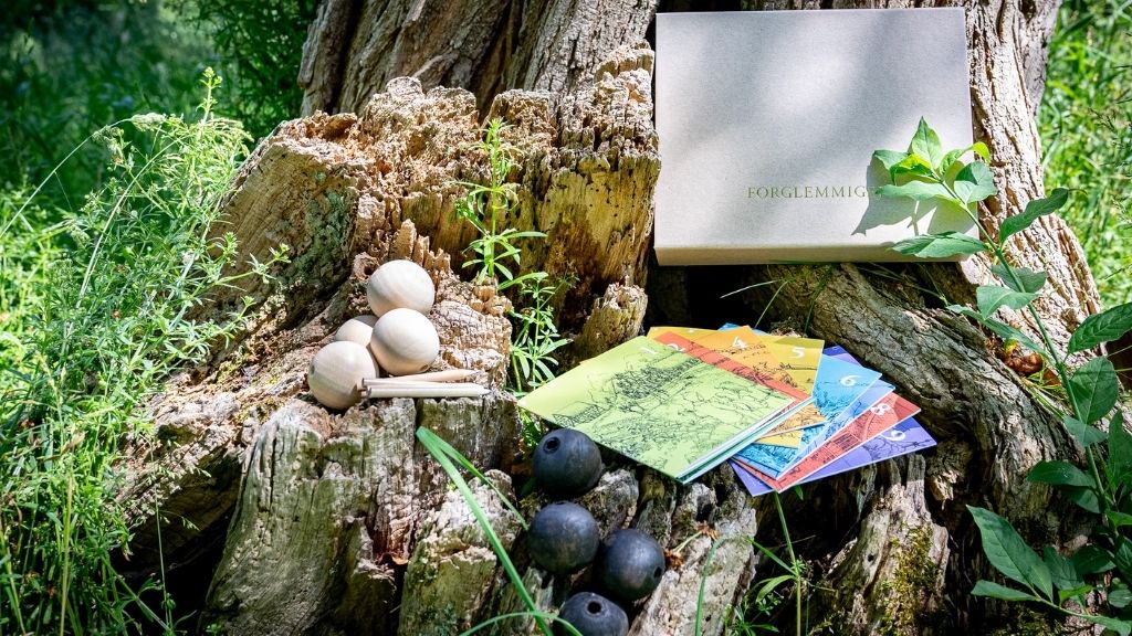 Familie er på gådejagt