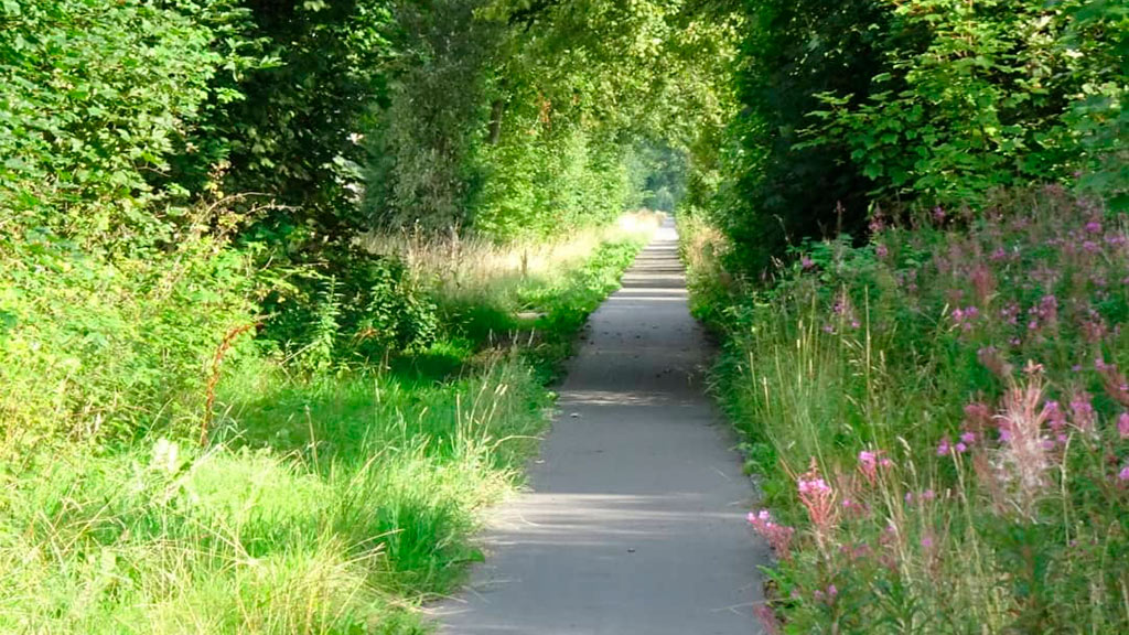 Naturstien Silkeborg