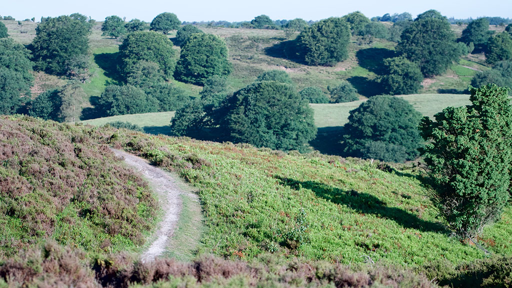 Ancient Road Hiking Tour
