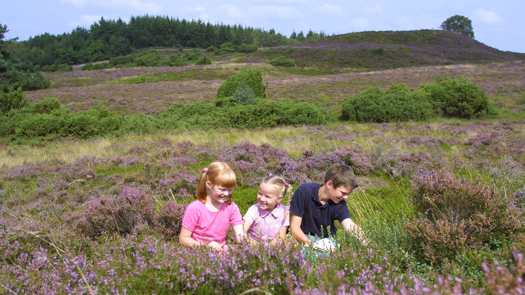 The trip to Ø Bakker from Bjerringbro