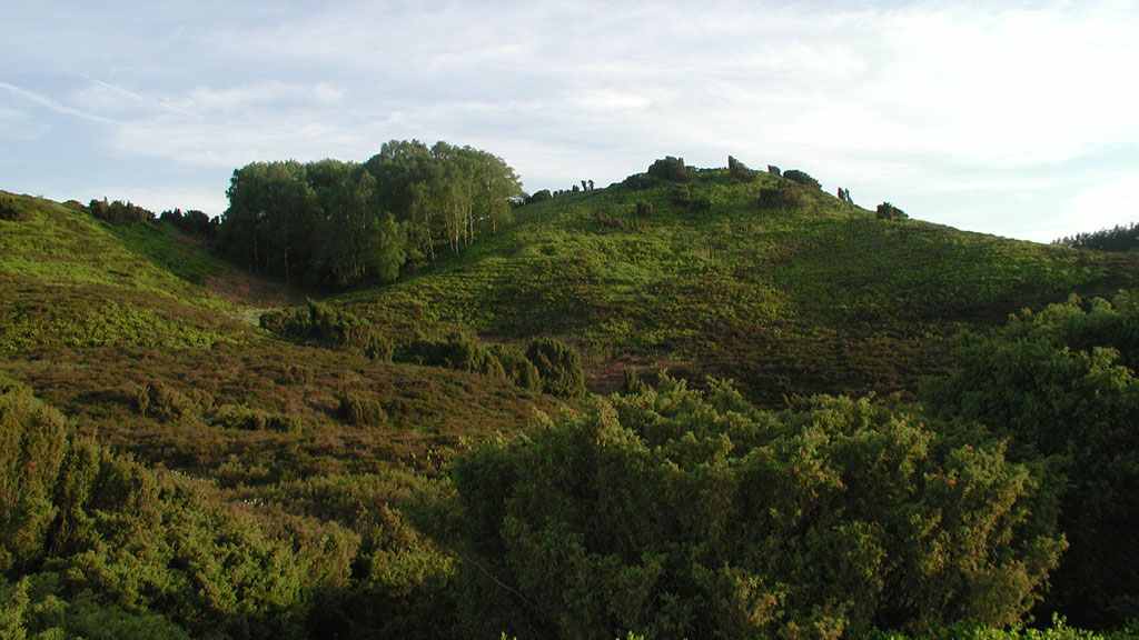 The trip to Ø Bakker from Bjerringbro