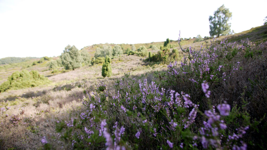 The trip to Ø Bakker from Bjerringbro
