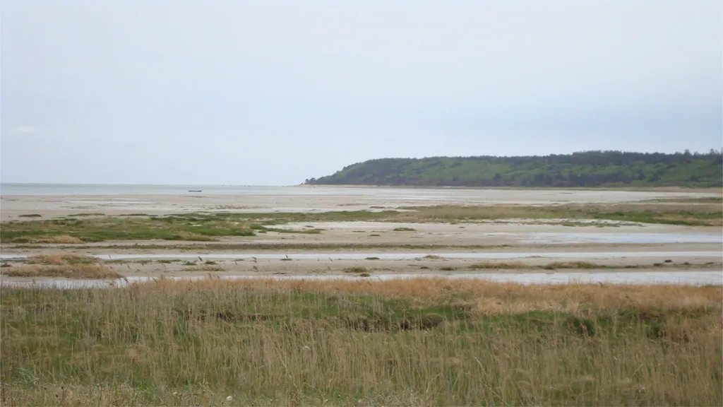 Bønnerup shoreline
