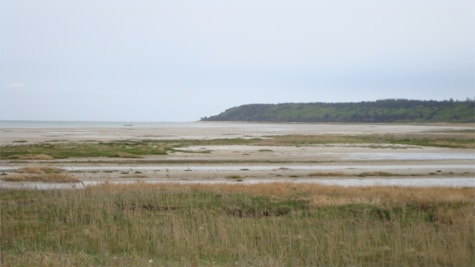 Küste von Bønnerup