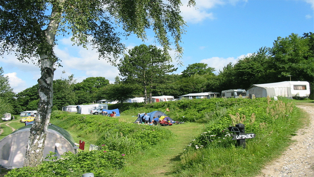 Kaløvig Strandgård Camping nature