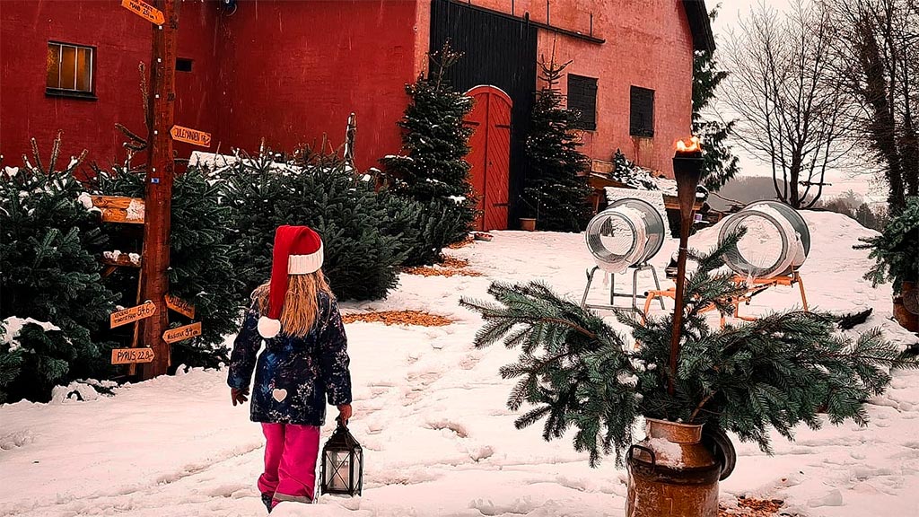 Pige besøger jul på Stougaarden