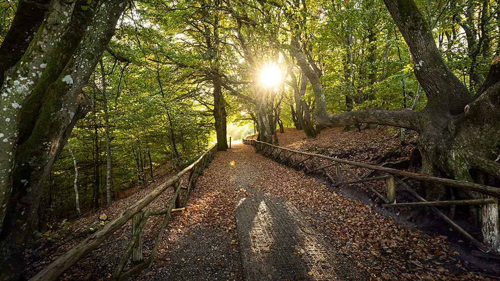 Hiking at Himmelbjerget