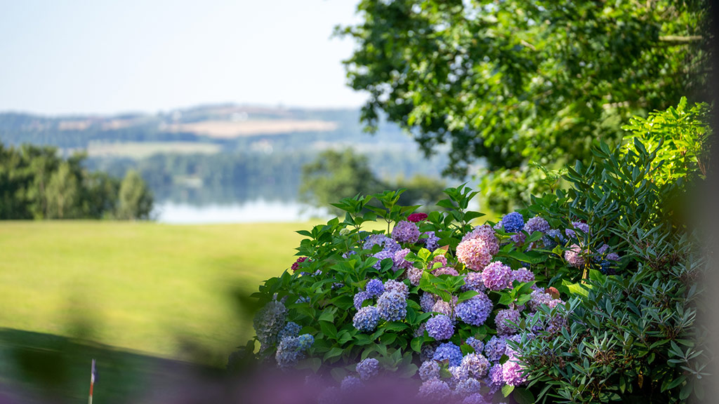 Skanderborg Park, venue