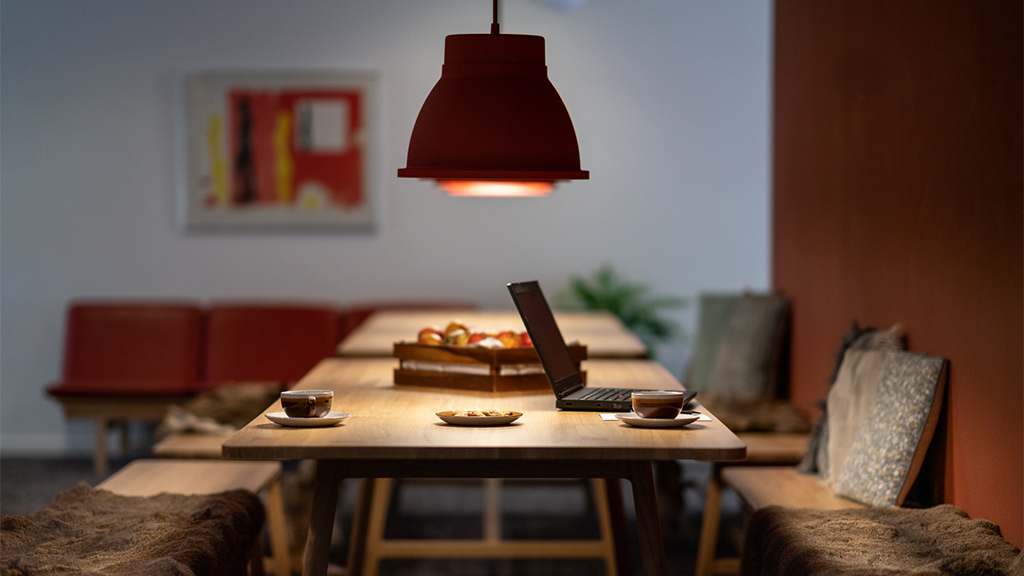 Skanderborg Park, venue