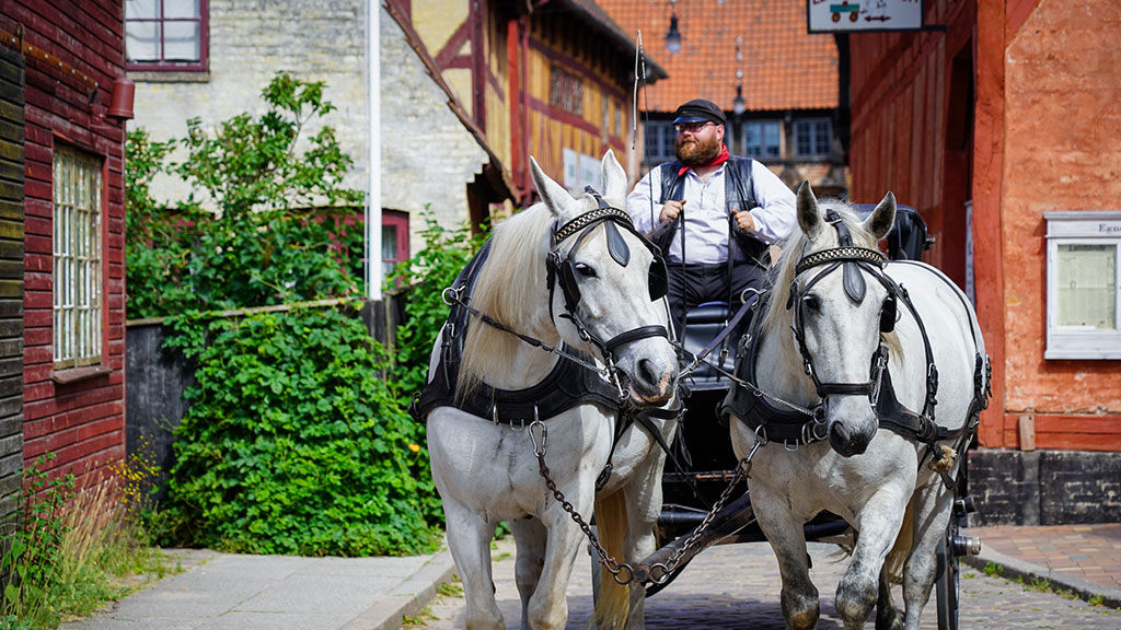 Den Gamle By - The Old Town Museum