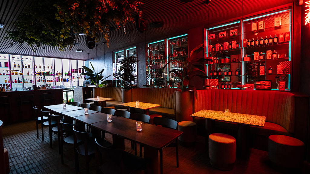 The Backyard at Tir na nÓg