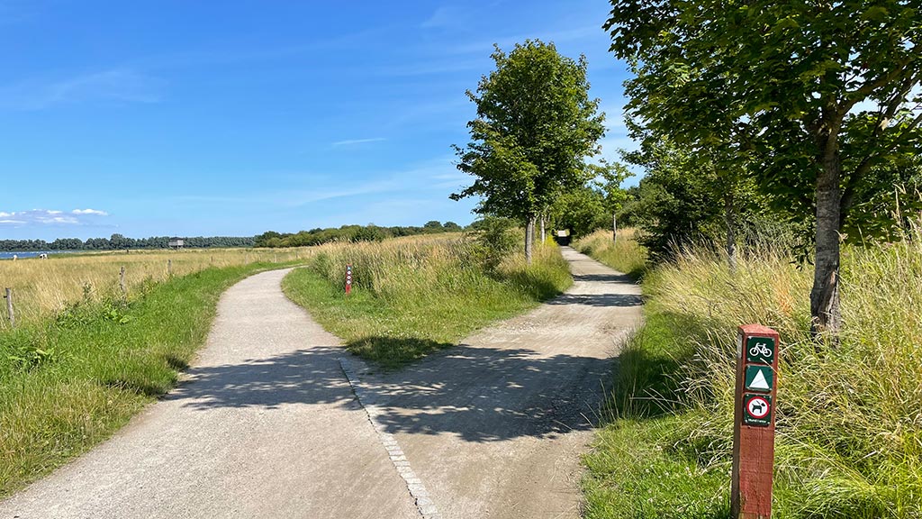 Cycling and hiking trail at Egå Engsø close to Aarhus