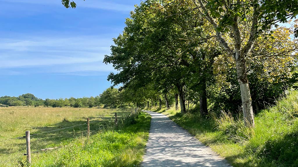 Cosy path by Egå Engsø lake