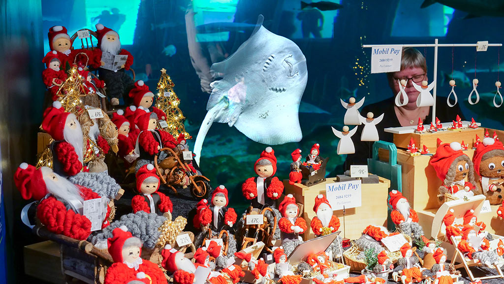 Nisser og haier på Kattegatcentret